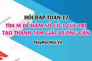 Tìm m để 3 điểm cực trị tạo thành tam giác vuông cân? Hỏi đáp Toán 12